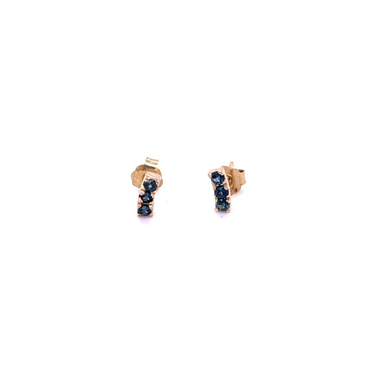 14kt Yellow Gold Sapphire Earing