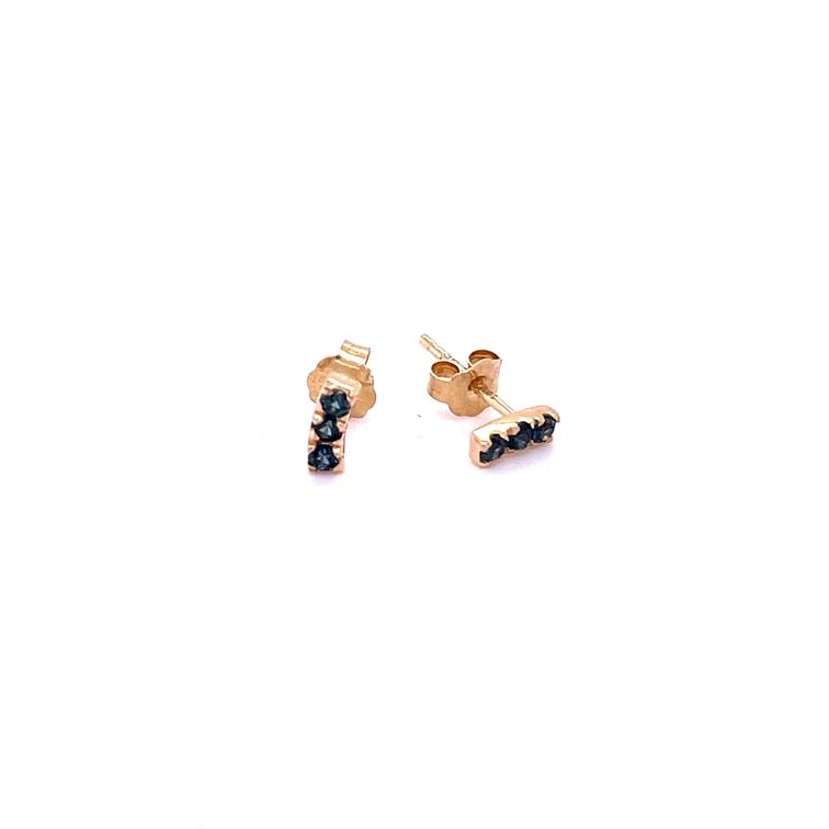 14kt Yellow Gold Sapphire Earing